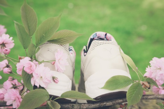 Trinomic R698 Tropicalia - 357466 02 (5)