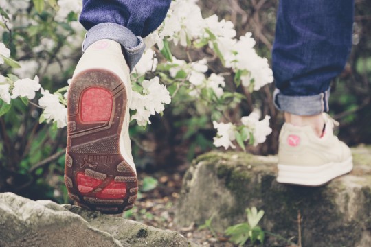 XT2 Tropicalia - 357471 02 (1)