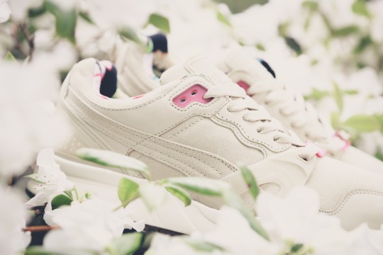 XT2 Tropicalia - 357471 02 (4)