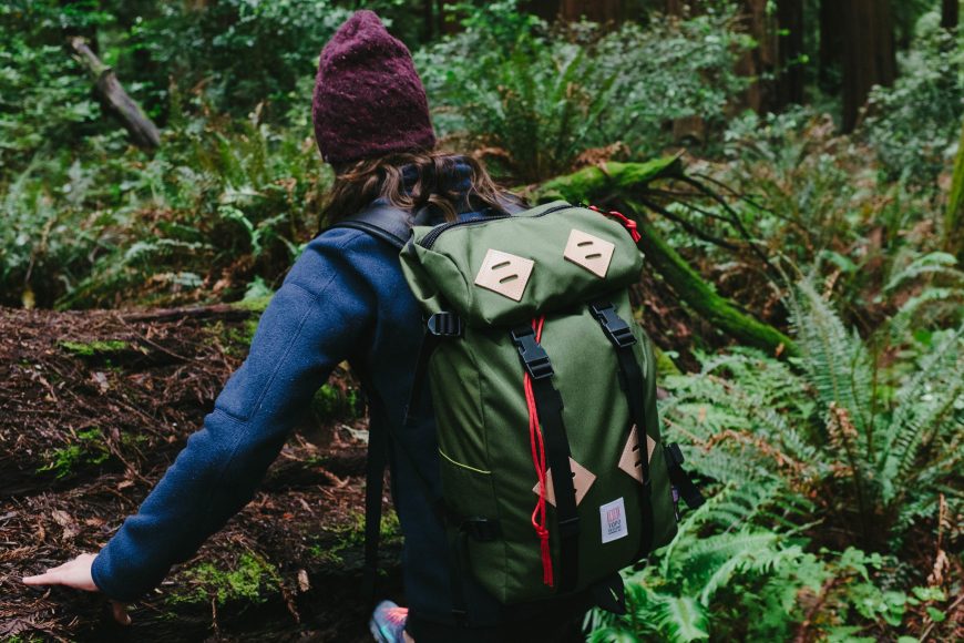 19964569339_6399a54a2a_k