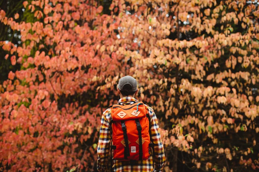 22488033342_e1e79ca7df_k