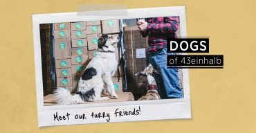 Dogs of 43einhalb