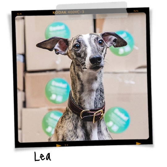 Meet Lea