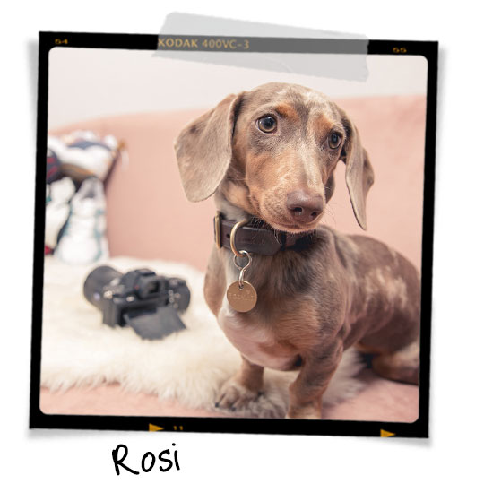 Meet Rosi