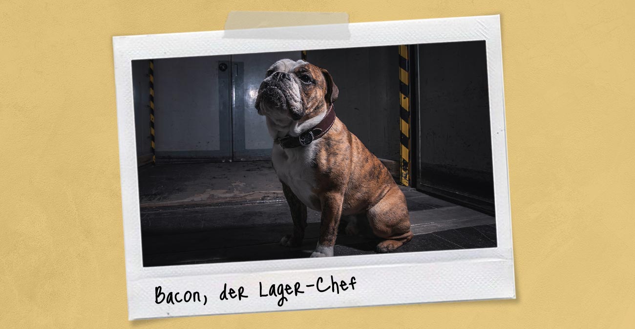 Meet Bacon