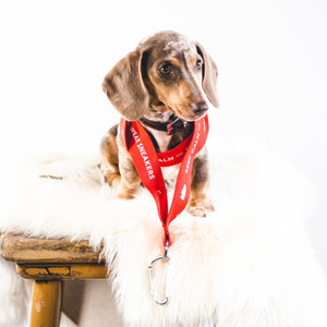 Lanyard KCAWS Red