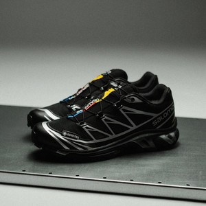 XT-6 Gore-Tex  (black / silver)