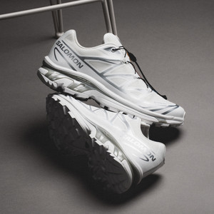 XT-6 GTX (white / white / ftw silver)