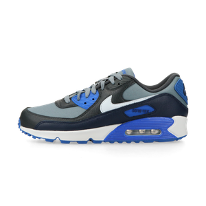 Nike Air Max 90 Gore-Tex (cool grey / pure platinum-anthracite)