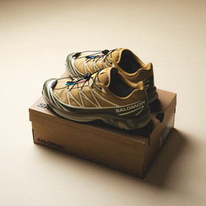 XT-6 Gore-Tex (antelope / icicle / portab)