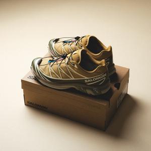 XT-6 GTX (antelope / icicle / portab)