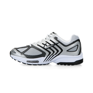 Nike Air Pegasus 2005 (metalliic silver / metallic silver / white)