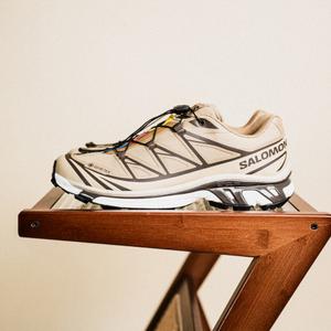 XT-6 Gore-Tex (kelp / wren / safari)