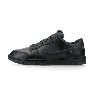 Nike Dunk Low Gore-Tex (black)