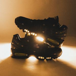 Air Max 95 Premium Houseflies