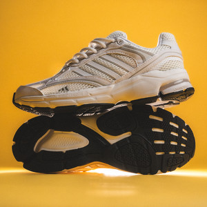 Spiritain 2000 (white / grey)