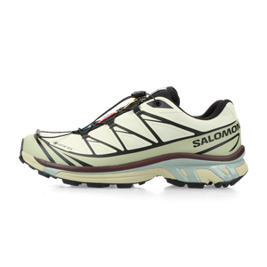 Salomon XT-6 GORE-TEX (aspargus green / tea / bitter chocolate)