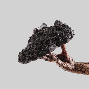 Seed.One  “Black Mud