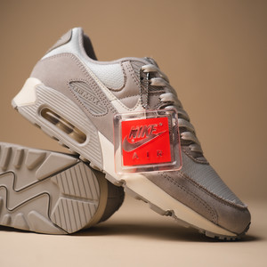 Air Max 90 (lt iron ore / sail / pale ivory / infrared 23)