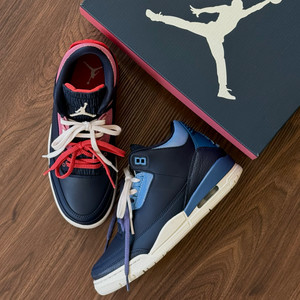Air Jordan 3 Retro Sport Renaissance
