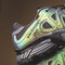 Salomon XT-WHISPER