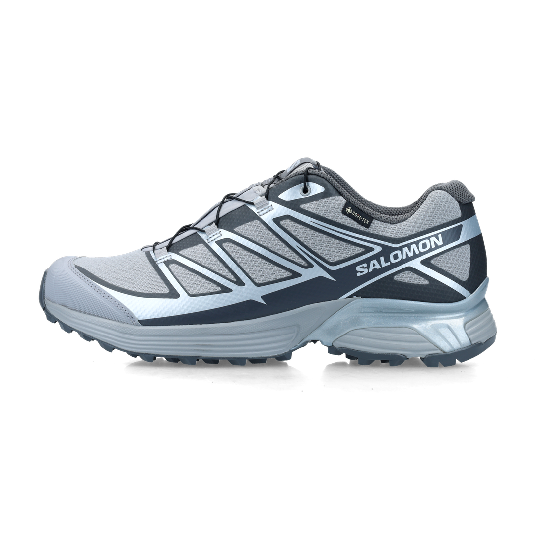 Salomon XT-PATHWAY GORE-TEX (alloy / ftw silver / castlerock